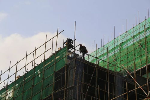 嘉澤 陽光天地丨辛苦了,建筑工人們 內(nèi)附最新工程進(jìn)度